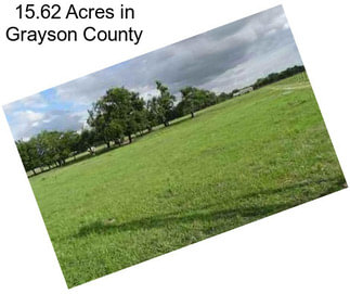 15.62 Acres in Grayson County