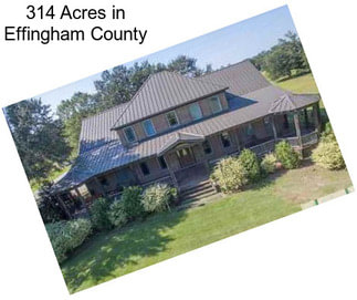 314 Acres in Effingham County