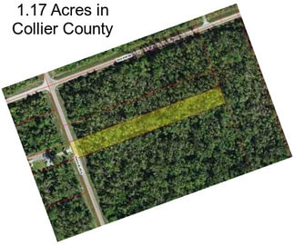 1.17 Acres in Collier County