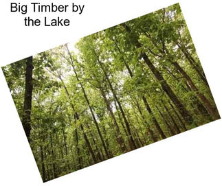 Big Timber by the Lake