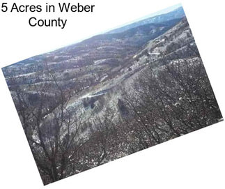 5 Acres in Weber County