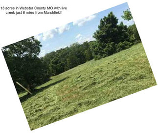 13 acres in Webster County MO with live creek just 6 miles from Marshfield!