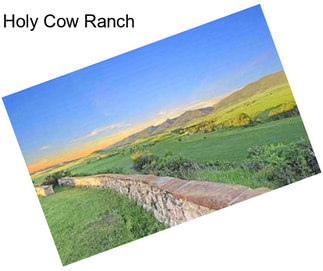 Holy Cow Ranch