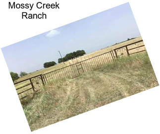 Mossy Creek Ranch