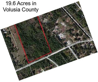 19.6 Acres in Volusia County