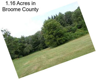 1.16 Acres in Broome County