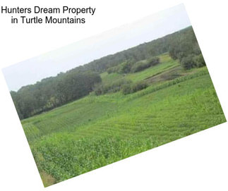 Hunters Dream Property in Turtle Mountains
