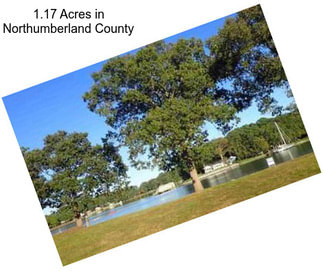 1.17 Acres in Northumberland County