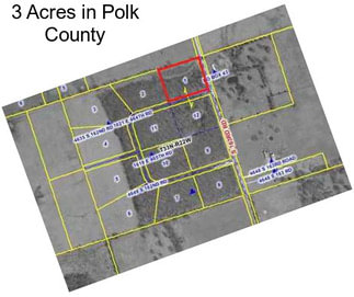 3 Acres in Polk County