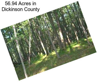 56.94 Acres in Dickinson County