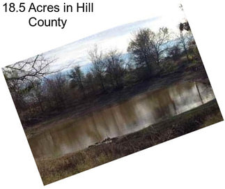 18.5 Acres in Hill County