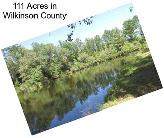 111 Acres in Wilkinson County