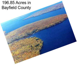 196.85 Acres in Bayfield County