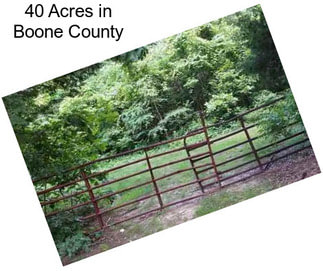 40 Acres in Boone County