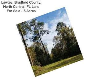 Lawtey, Bradford County, North Central, FL Land For Sale - 5 Acres