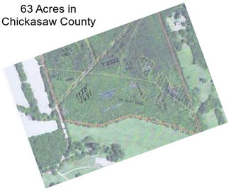 63 Acres in Chickasaw County