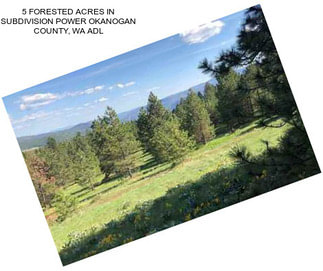 5 FORESTED ACRES IN SUBDIVISION POWER OKANOGAN COUNTY, WA ADL