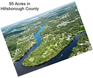 95 Acres in Hillsborough County