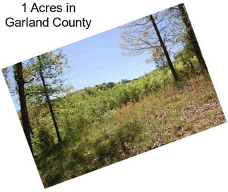 1 Acres in Garland County