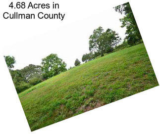 4.68 Acres in Cullman County