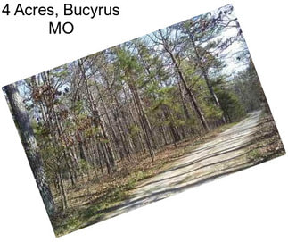 4 Acres, Bucyrus MO