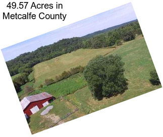 49.57 Acres in Metcalfe County