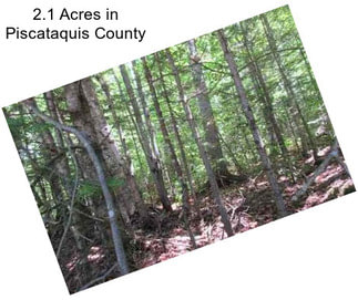 2.1 Acres in Piscataquis County
