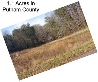 1.1 Acres in Putnam County