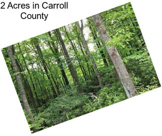 2 Acres in Carroll County