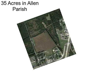 35 Acres in Allen Parish