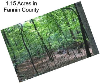 1.15 Acres in Fannin County