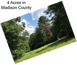 4 Acres in Madison County