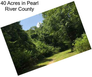 40 Acres in Pearl River County