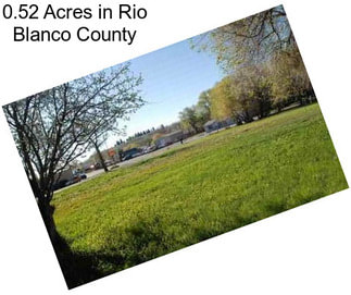 0.52 Acres in Rio Blanco County