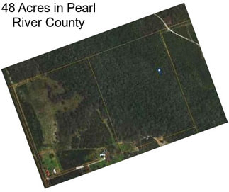 48 Acres in Pearl River County