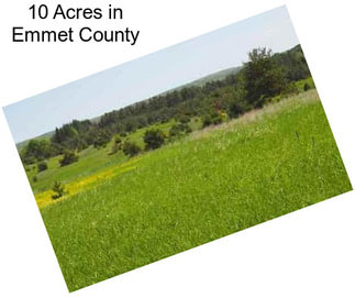 10 Acres in Emmet County