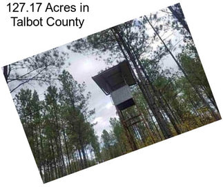 127.17 Acres in Talbot County