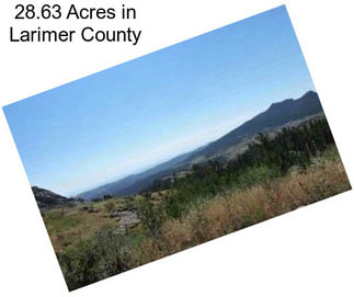28.63 Acres in Larimer County