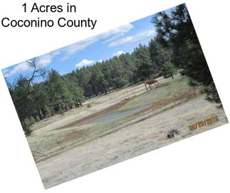 1 Acres in Coconino County