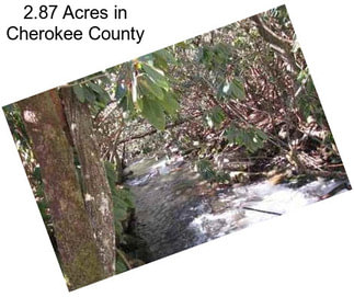 2.87 Acres in Cherokee County