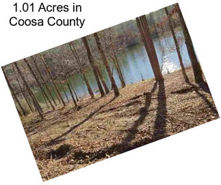 1.01 Acres in Coosa County