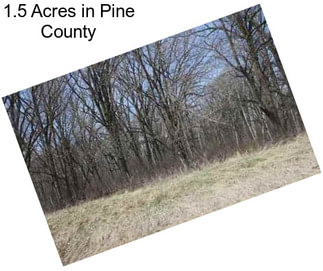 1.5 Acres in Pine County