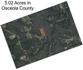 5.02 Acres in Osceola County