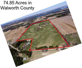 74.85 Acres in Walworth County