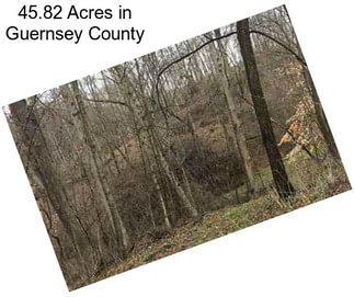 45.82 Acres in Guernsey County