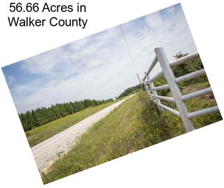 56.66 Acres in Walker County