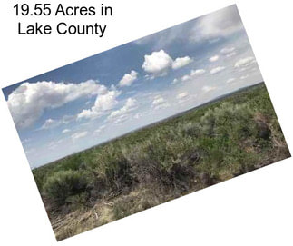 19.55 Acres in Lake County