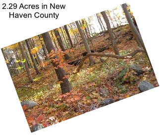 2.29 Acres in New Haven County