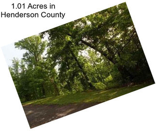 1.01 Acres in Henderson County