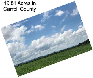 19.81 Acres in Carroll County